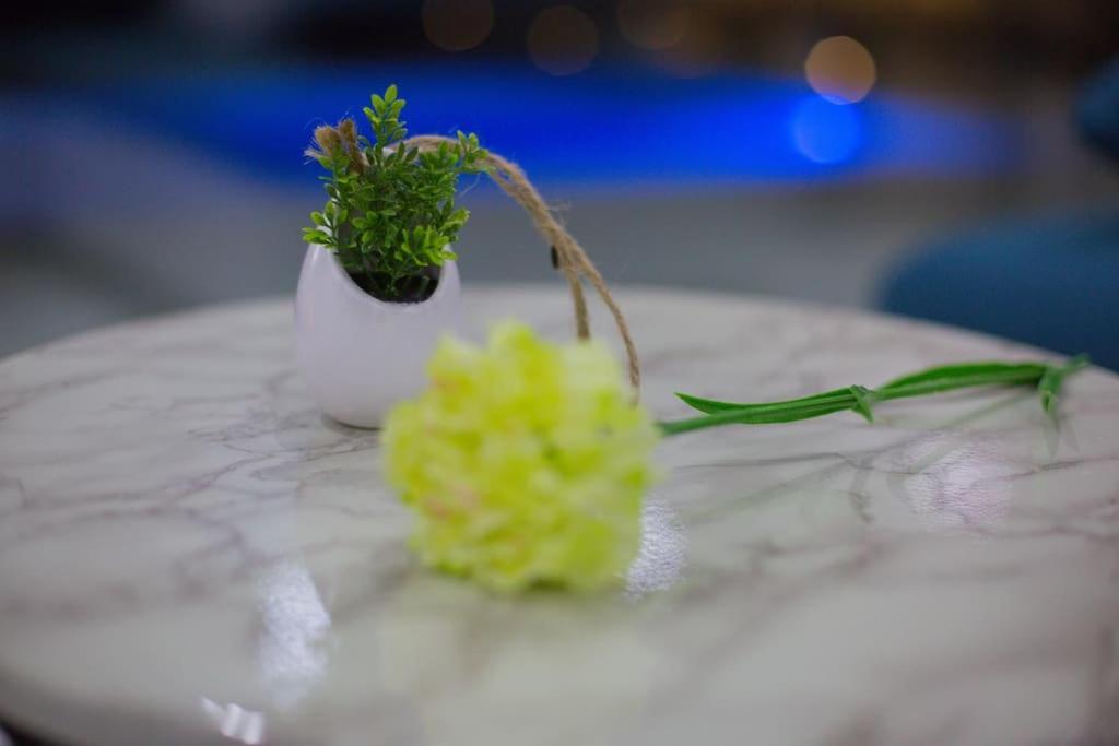Villa Enjoy Lux In Split Eksteriør billede